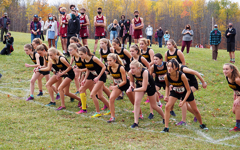 Harwood girls’ varsity cross-country team awaits the start gun at the Millstone Trails on October 23. Photo: Ann Zetterstrom.