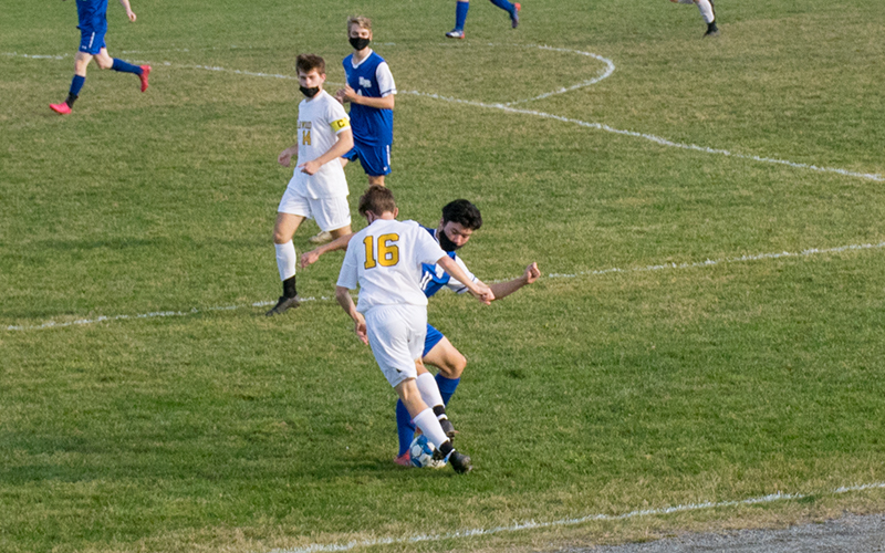 Adam Porterfield working in from the sideline. Photo: Jeff Knight