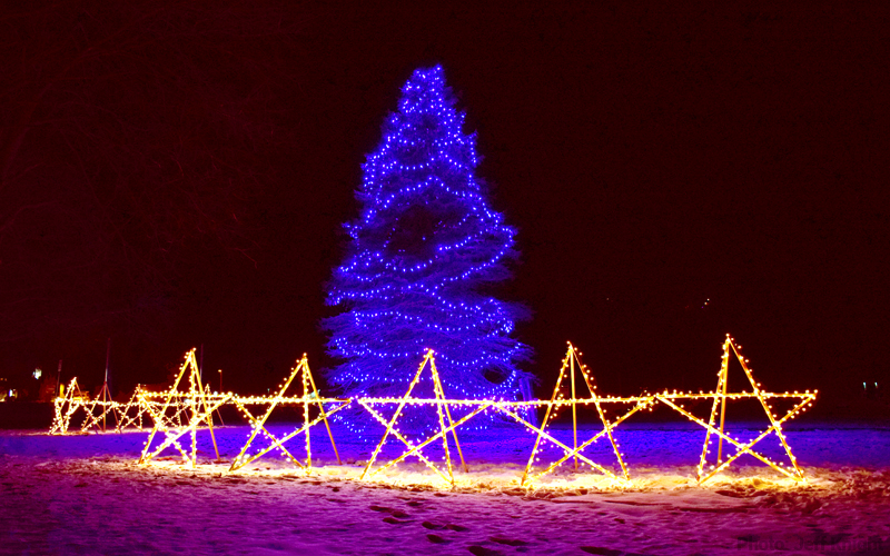 Waitsfield memory Tree and stars. Photo: Jeff Knight