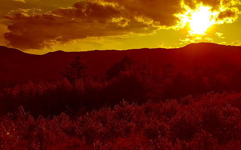 Sunset from Boyce forest