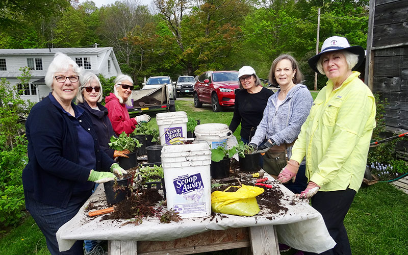 The Mountain Gardeners are preparing for their annual plant sale on June 5 on the Slow Road (in front of Shaw’s) in Waitsfield. From left to right: Marilyn Parker, Fran Grimason, Nancy Mercer, Judy Reed, Sheila Ware and Judy Phelon. Photo courtesy of Mountain Gardeners.