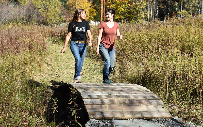 Yestermorrow built this arch bridge over the drainage area that leads across Route 100. Photo courtesy Yestermorrow.