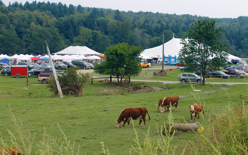Mad River Valley Craft Fair File Photo