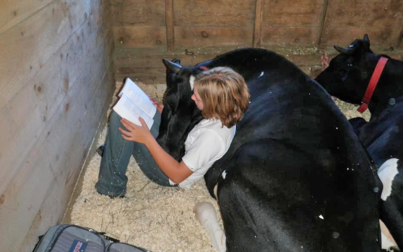 After school reading with Oliver and Simon