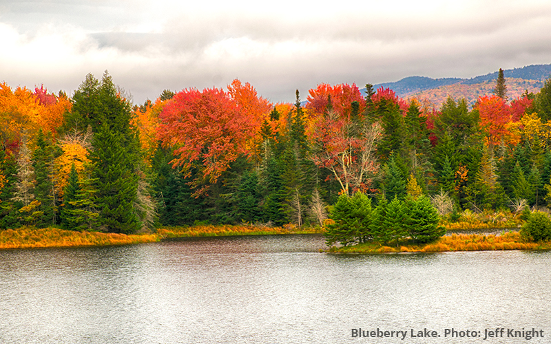 Blueberry Lake foliage. Photo: Jeff Knight