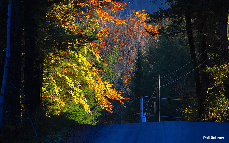 Chelsea VT late afternoon light. Photo: Phil Bobrow