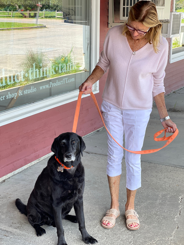 Goose and Cheryl Patty out for a walk and stopping at LuLu's water bowl. Black Lab Goose and Cheryl Patty out for a walk and stopping at LuLu's water bowl.