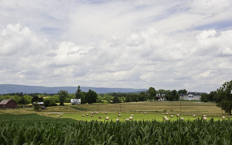 Historic Belle Grove Plantation is at the heart of Cedar Creek Battlefield. Photo: Ann & Rob Simpson