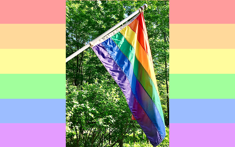 Pride flag on a pride color background. Photo: Roarke Sharlow