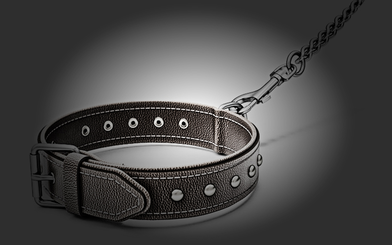 empty dog collar