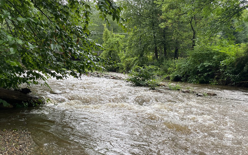 High flows at the Mill Brook in Waitsfield on Monday, July 25. Photo: Ruth Lacey