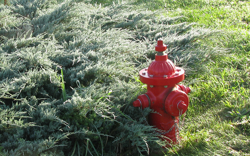 Fire hydrant in Waitsfield, Vermont