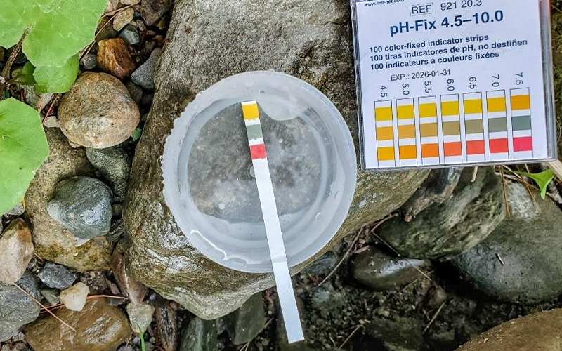 pH test strip used for testing river water quality.