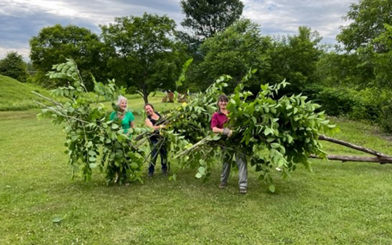 A group clears invasive knotweed from the banks of the Mad River. 