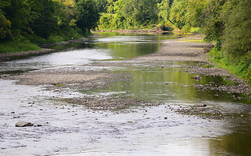 Low water levels in the Winooski river in Waterbury, VT. Photo: Jeff knight