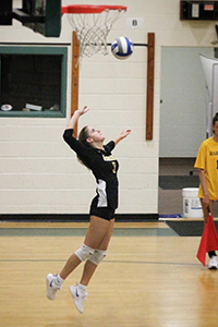 Harwood's Teras Wood against Montpelier. Photo: Maureen McCracken Harwood's Teras Wood against Montpelier. Photo: Maureen McCracken