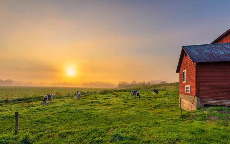 “Spear Barn, Summer Sunrise” by Greg Nicolai was voted the most favorite photograph at the Green Mountain Photo Show.