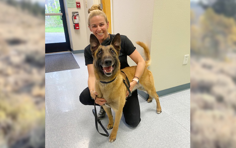 Brittany Marble and an Army 1SFG (A) dog.