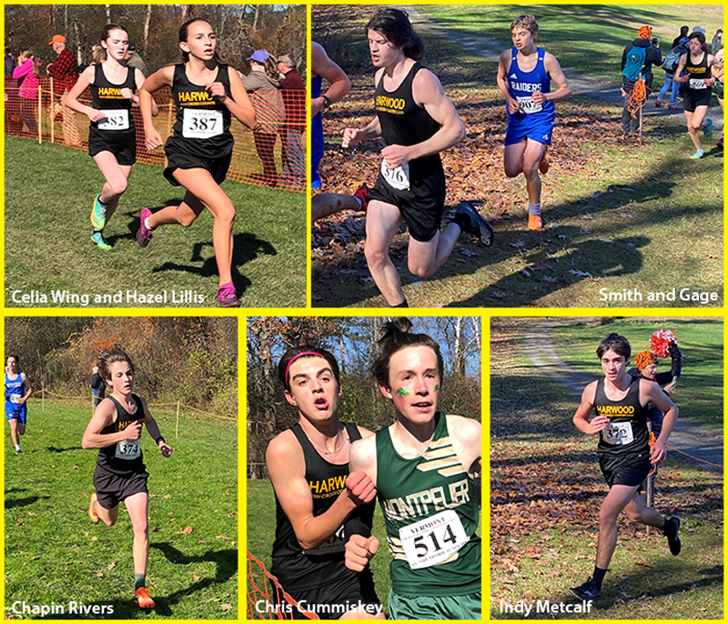 Compilation of Harwood Cross Country Runners.