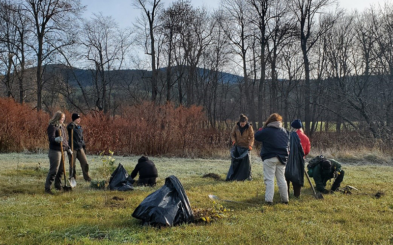 Vermont Youth Conservation Corps members plant native trees and shrubs along the Mad River. Photo: Friends of the Mad River.