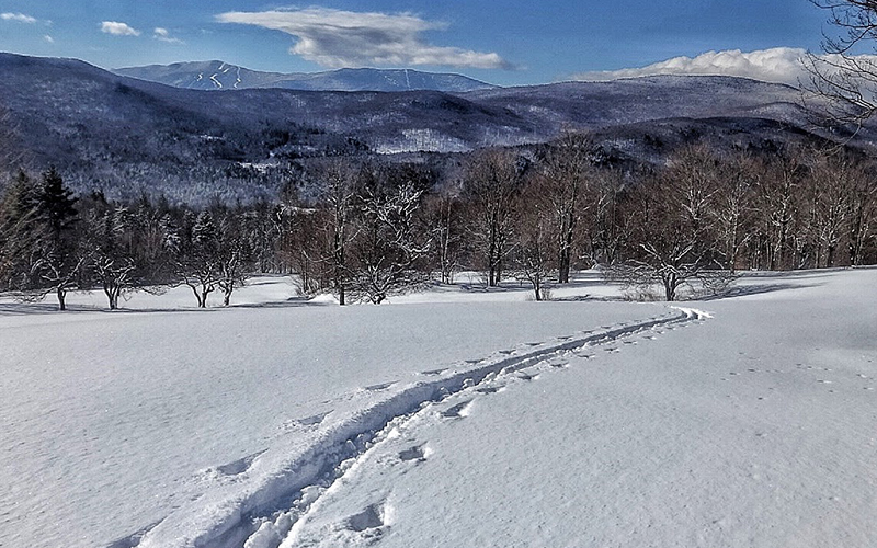 backcountry ski track through fresh snow.