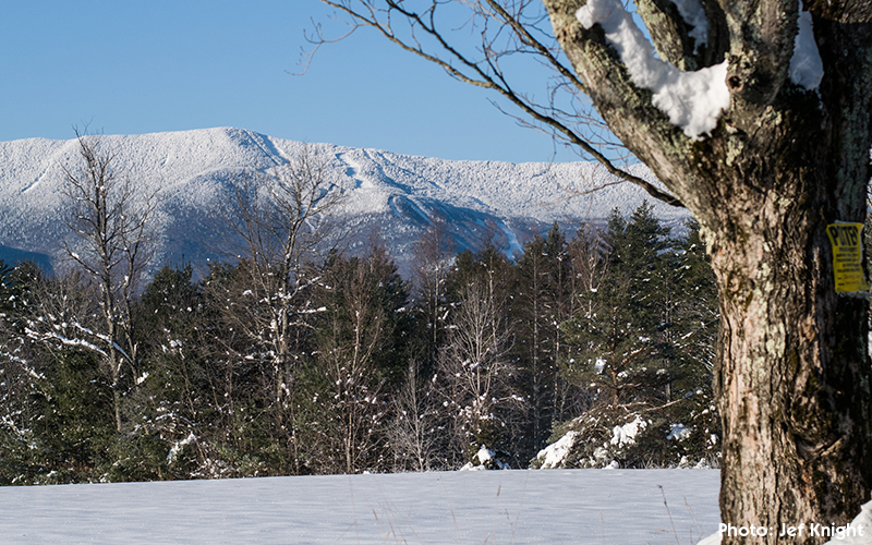 Mt. Ellen covered in snow. Photo by Jeff Knight