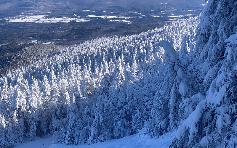 View from Antelope at Mad River Glen. Photo: Geordie A Hall