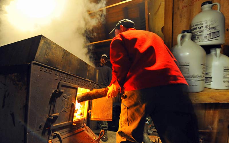 Adding wood to the boiler turning sap to syrup. File photo