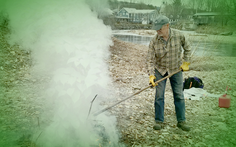 Arty file photo of burning knotweed in Waitsfield.