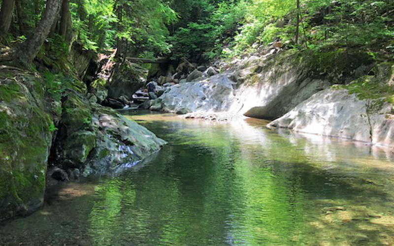 A popular fishing spot on Ridley Brook runs through the newly-acquired property. Credit: Catherine Gjessing