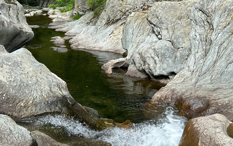 Freeman Brook running through rocks. Photo: Annie Parsons