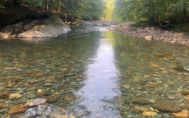 Water levels at Warren Falls are low when compared to the recent flood but high when compared to the last few years of summer drought. Credit Mike Ware.