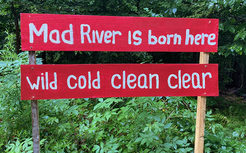 Burma Shave-like signs along Route 100 coming into Warren, VT. Photo: Jito Coleman