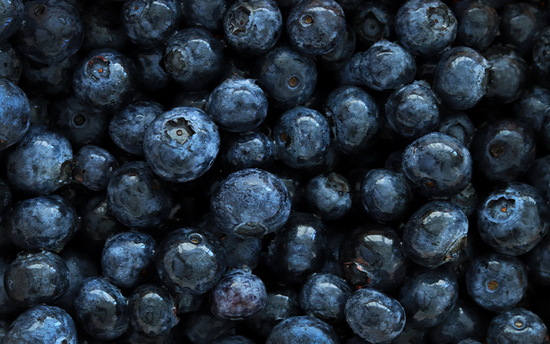 Blueberries Photo Cody Chan
