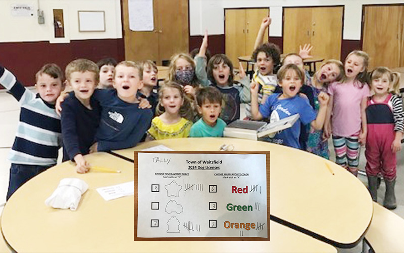 Waitsfield kindergarteners voted for new dogleg shape.