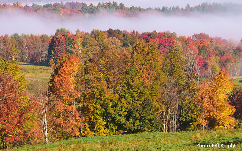 Fall foliage in Waitsfield. Photo: Jeff Knight