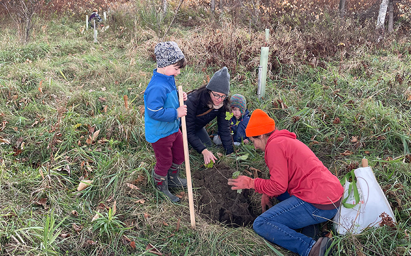 Friends of the Mad River plant trees