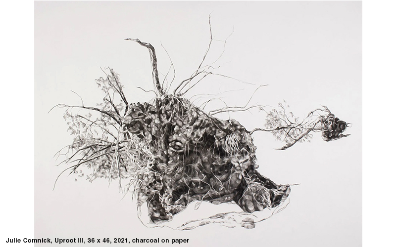 Julie Comnick, Uproot III, 36 x 46, 2021, charcoal on paper
