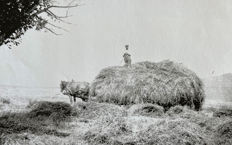Archival image of a Vermont hill farmer