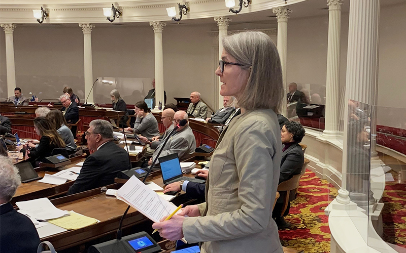 Representative Kari Dolan speaking at the Vermont State House.