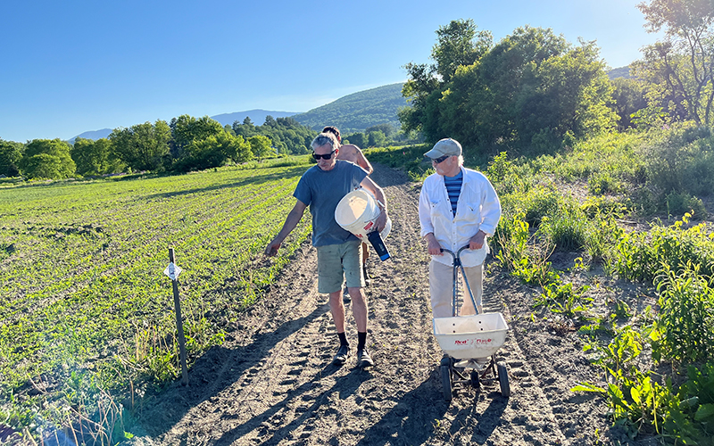 Reseeding the Spaulding Greenway in Waitsfield, Vermont