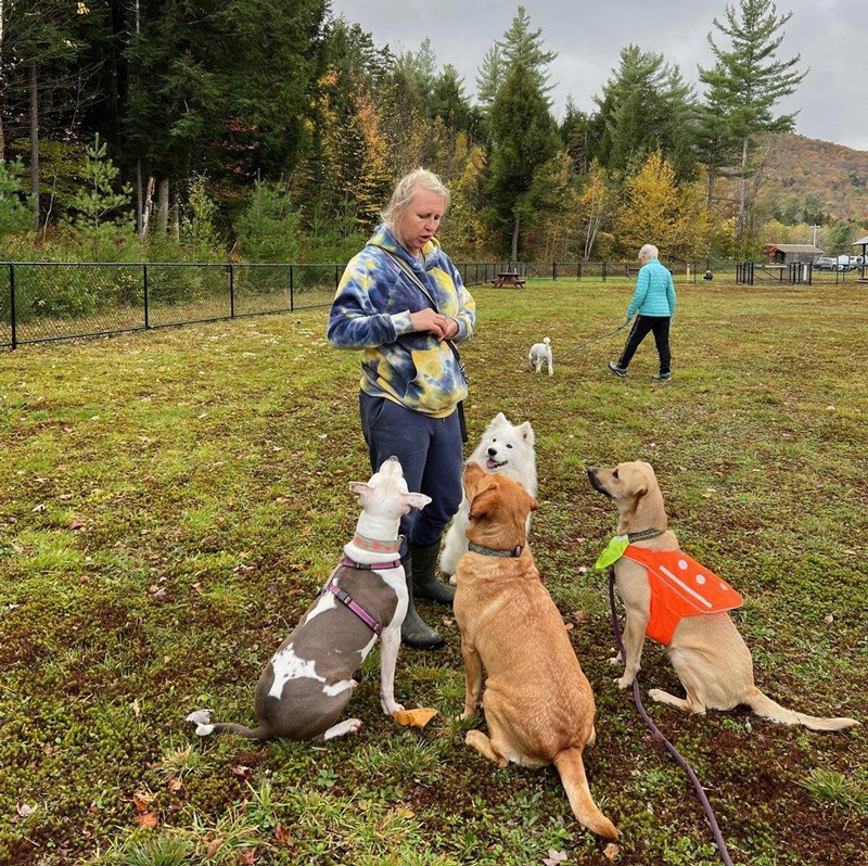 DogParkTraining