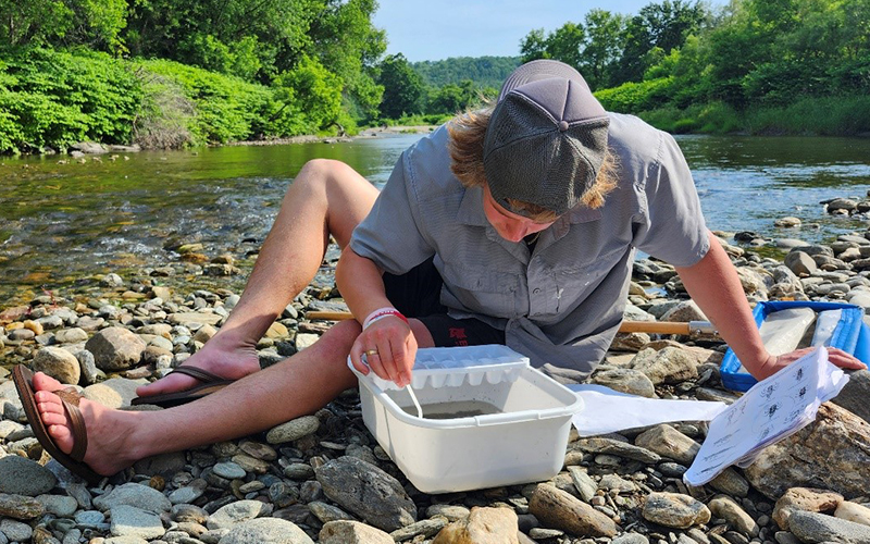 Mathias Boudreau-Golfman examines benthic macro samples near Meadow Road in Waitsfield. Credit FMR