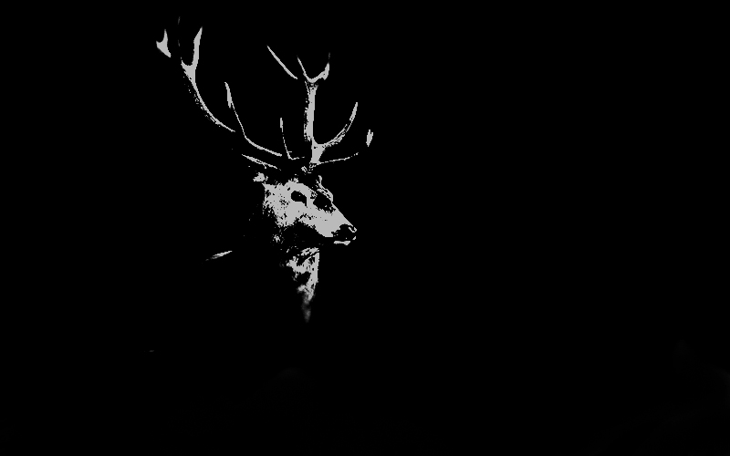 black elk graphic