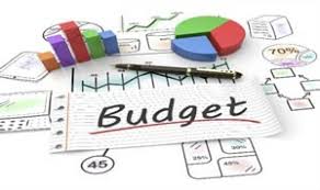 Fayston Budget