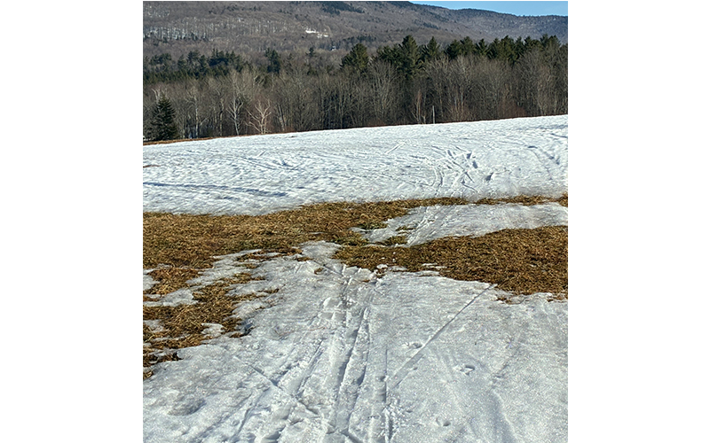Nordic Tracks - Patchy Snow