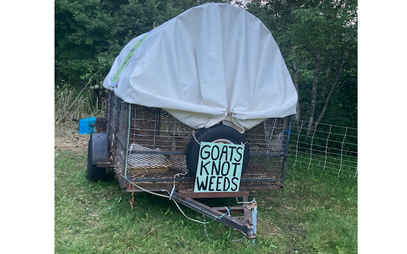 goatsnotweeds