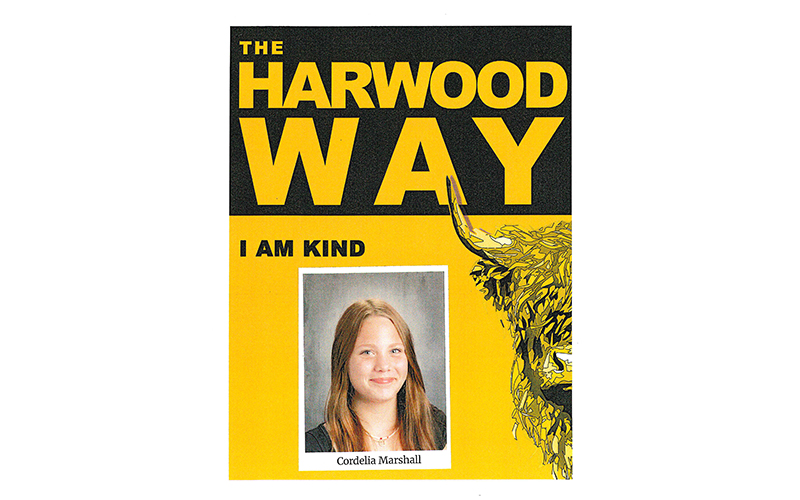 Harwood2