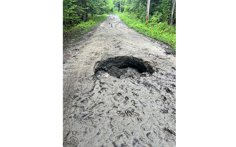 Sink Hole Woods Road S Stacey Weston
