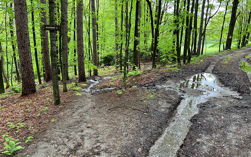 Trail Damage  - Mad River Riders